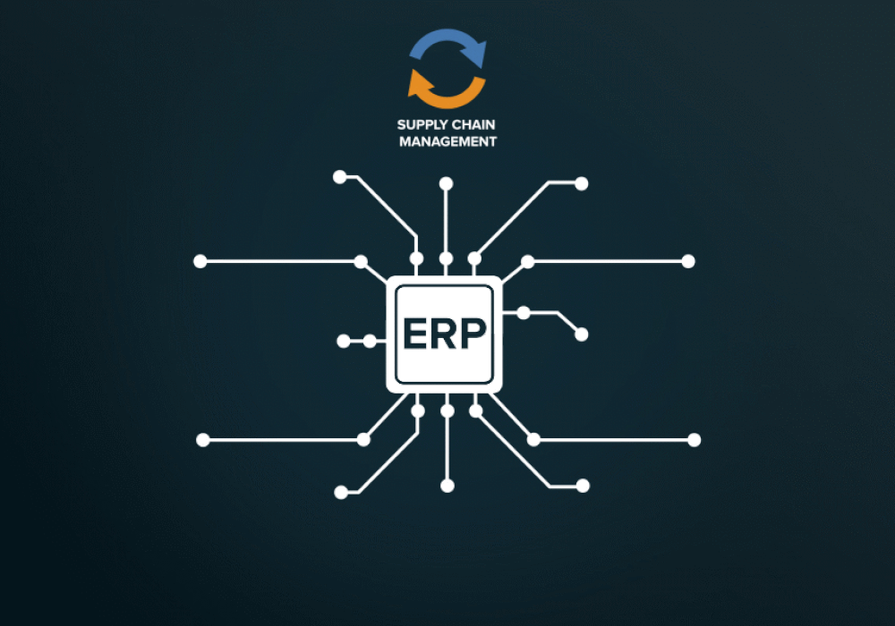ERP Demo